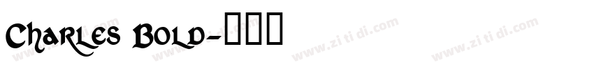 Charles Bold字体转换